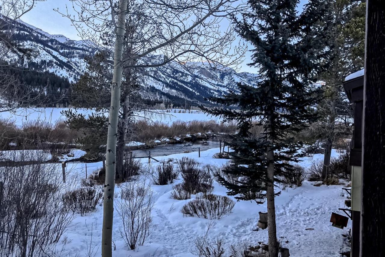 Moose Creek Lodge Wilson Εξωτερικό φωτογραφία